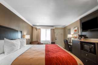 Quality Inn Downey - King Room with Flat Panel TV
